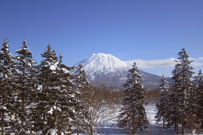 Hokkaido Niseko Ski Day Tour（Depart From Sapporo） - Tour Highlights