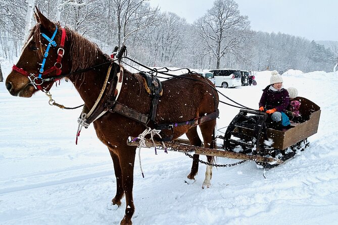 Horse-Drawn Sleigh & Making Local Cuisine