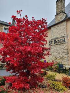 Hotel Saint-Roch, Saint-Ybard - Overview of Hôtel Saint-Roch