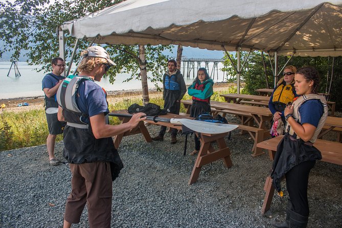 Inside Passage Sea Kayaking From Skagway - Experience the Thrill of Sea Kayaking