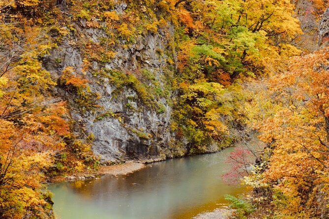 Jozankei Autumn Leaves Day Tour by Private Car