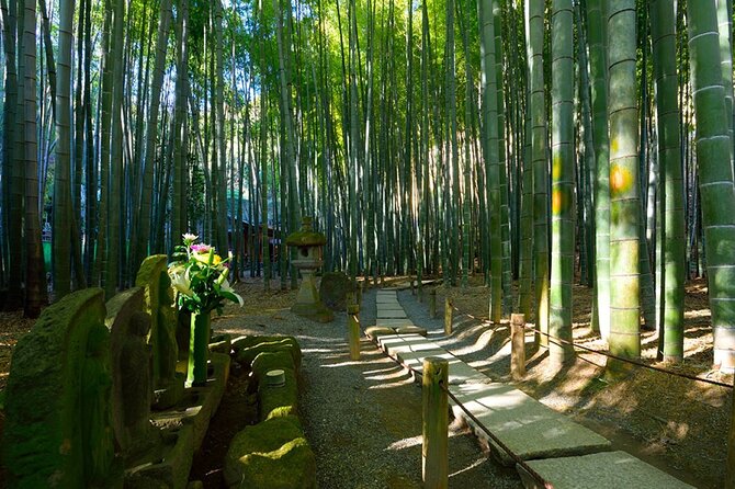 Kamakura and Enoshima Day Trip With English Professional Guide