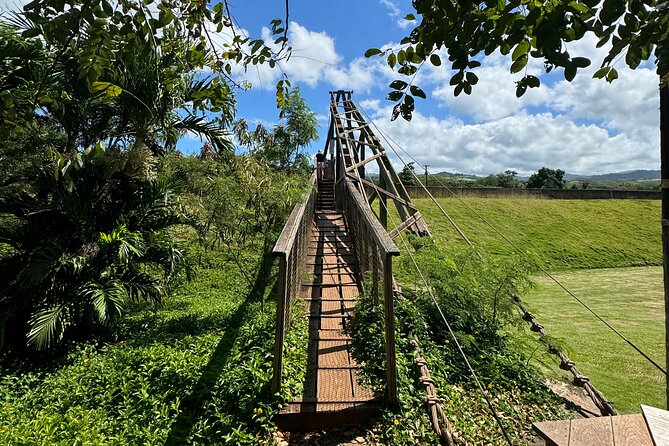 Kauai Island Tour : Journey to Waimea Canyon & More Highlights