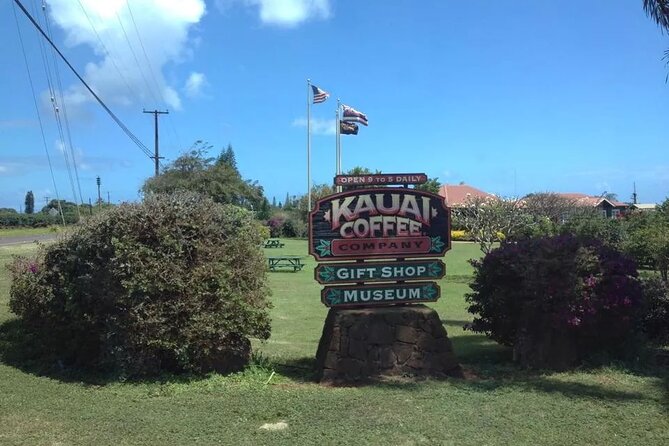 Kauai Shore Excursion – Waimea Canyon Adventure Tour – Nawiliwili