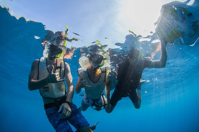 Kauais Ultimate Guided Shore Snorkel (NO BOAT): North Anini