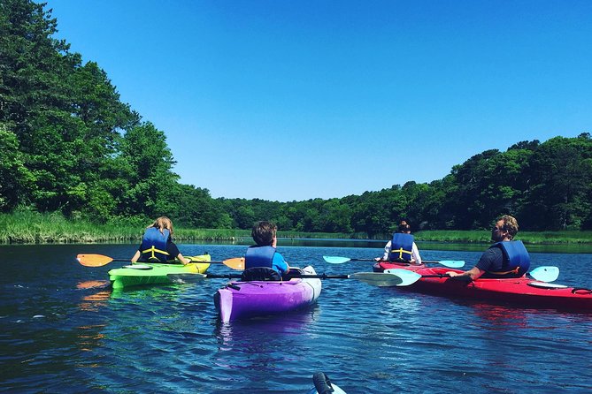 Kayak The Creek Nature Tour