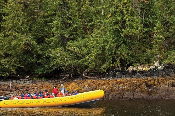 Ketchikan Rainforest Island and Boat Adventure