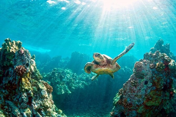 Key Largo Snorkeling Trips & Sandbar Tours