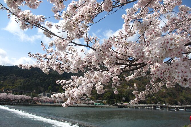 Kyoto Bus Tour: Arashiyama, Kinkaku-ji, Fushimiinari Shrine 【BF】