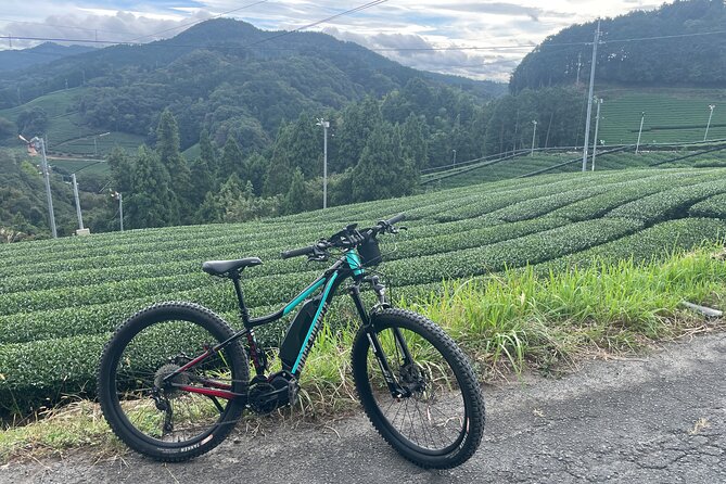 Kyoto E-Bike Rent (Powerful & Long Model)
