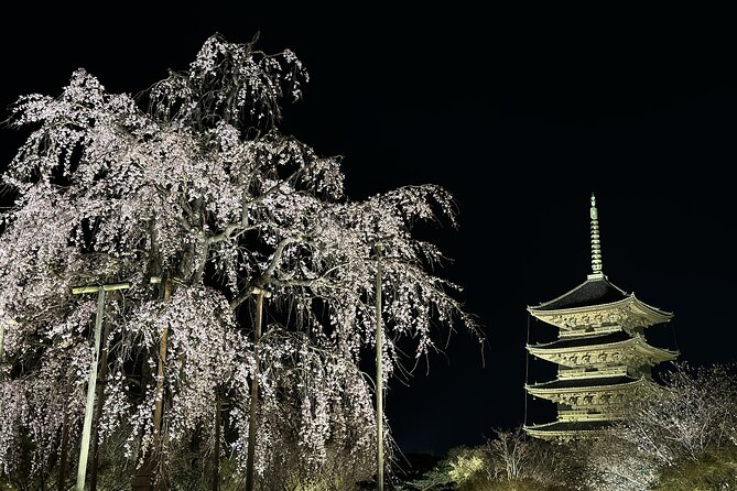 Kyoto/ Private Tour Delivered and Guided by a Top-Tier Driver