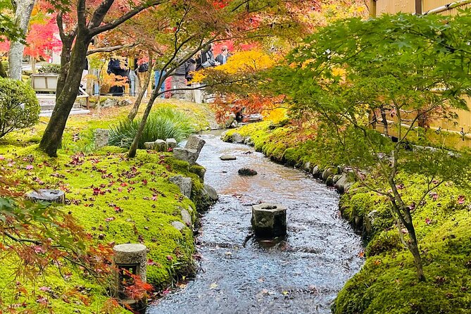 Kyoto Private Tour With English Speaking Driver (8 to 10 Hours)