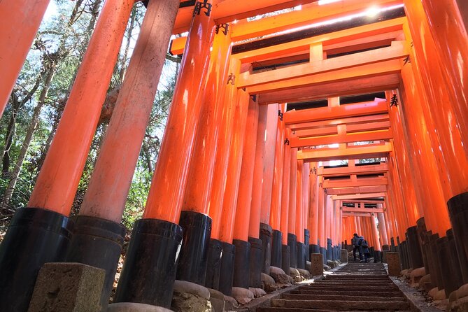 Kyoto Private Tour With National Licensed Guide - Included Services