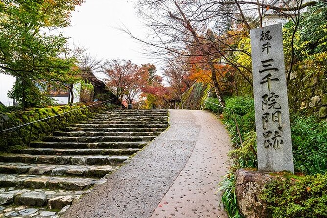 Kyoto Sansen-In Arashiyama Train 1 Day Tour From Osaka or Kyoto