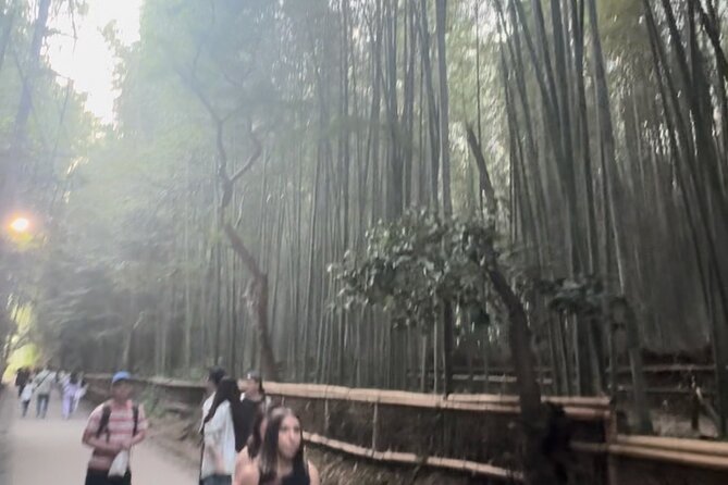 Kyoto Selectable Guided Tour (4hrs)