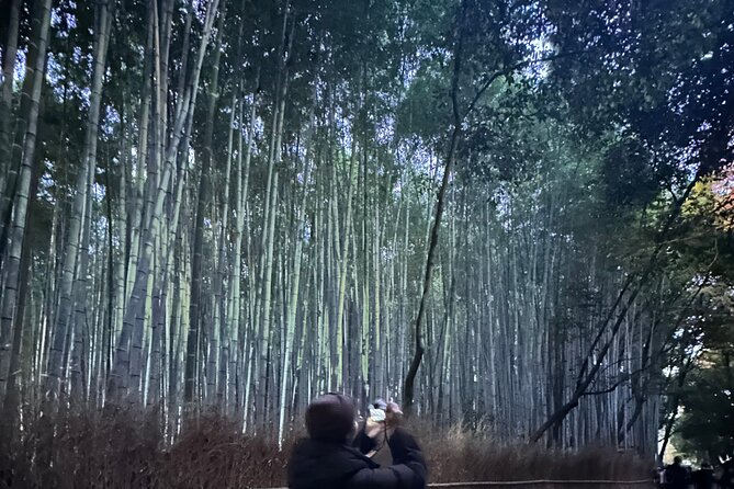 Kyoto Tour in Spanish: Fushimi Inari Bamboo Forest and Kinkakuji