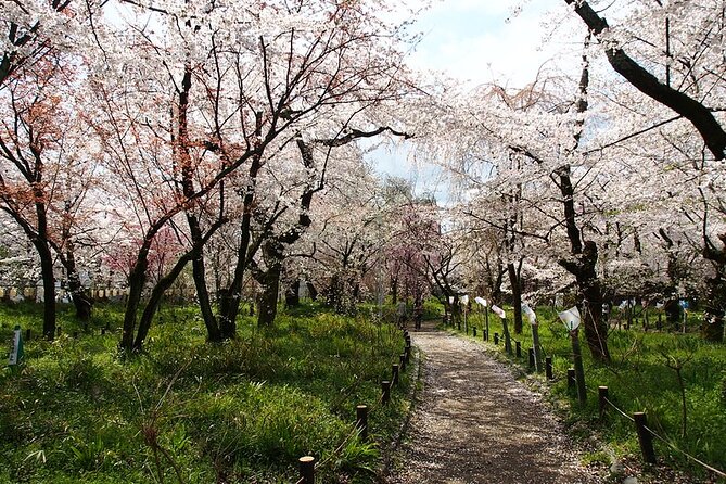 Kyotos World Heritage Walking Tour From Kyoto St.