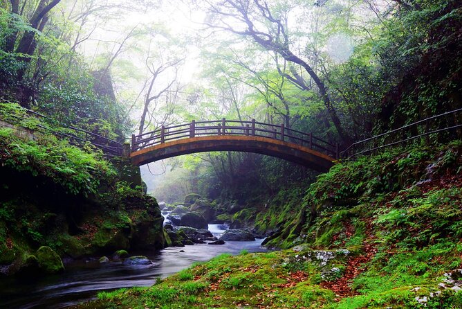 Kyushu Day Trip to Takachiho Gorge and Shrines From Fukuoka - Overview of the Day Trip