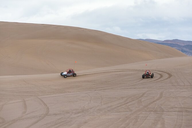 Las Vegas Big Dune Free Roam Adventure at Amargosa
