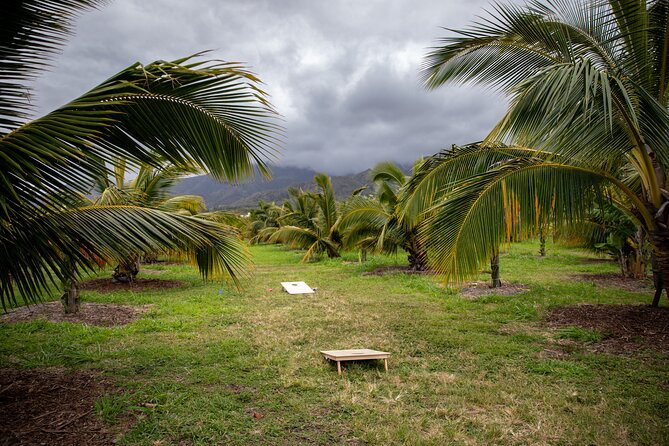 Macnut Tour, Picnic Lunch and Maui Bees