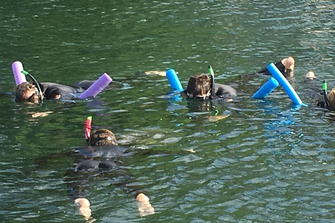 Manatee Swim and Wildlife Park With Upgrade Options From Orlando