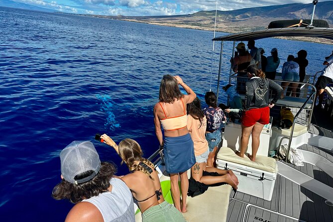 Maui Mid Day Magic Whale Watch