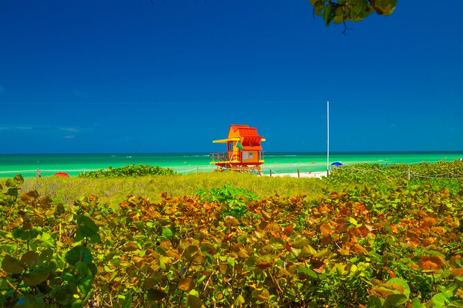 Miami Beach Art Deco & Hidden Gems Bike Tour With Local Historian