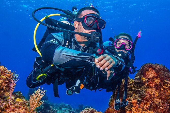 Miami Two Tank Dive Trip