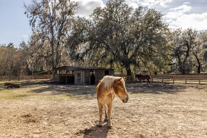 Middleton Place Tour With Lunch and Transportation
