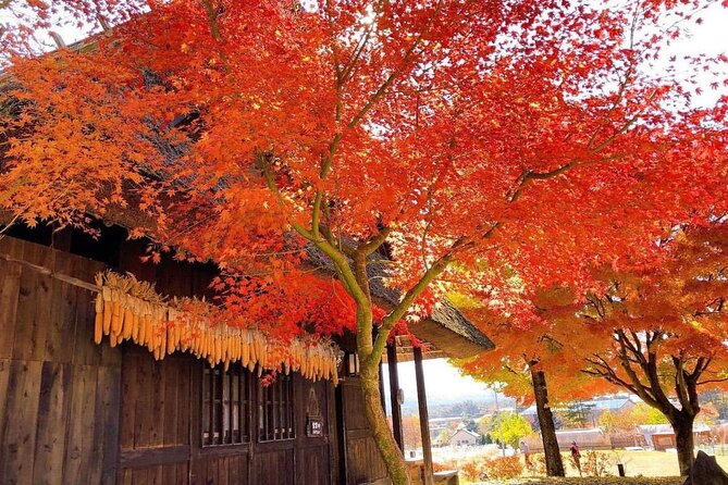 Mount Fuji Four Iconic Scenic Spots Day Tour From Tokyo
