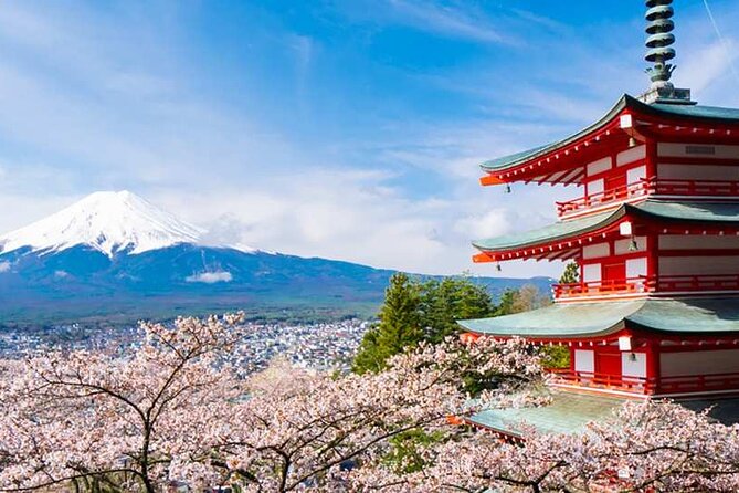 Mount Fuji One Day Tour From Tokyo Japan