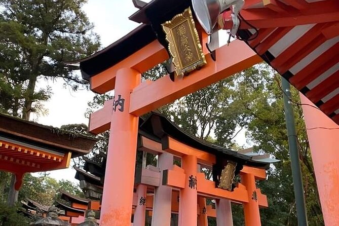 Mount Fuji Sightseeing One Day Tour From Shinjuku