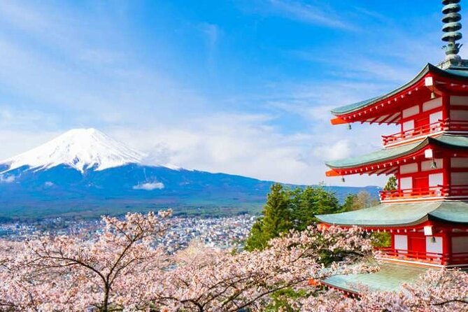 Mount Fuji Sightseeing One Day Tour From Tokyo