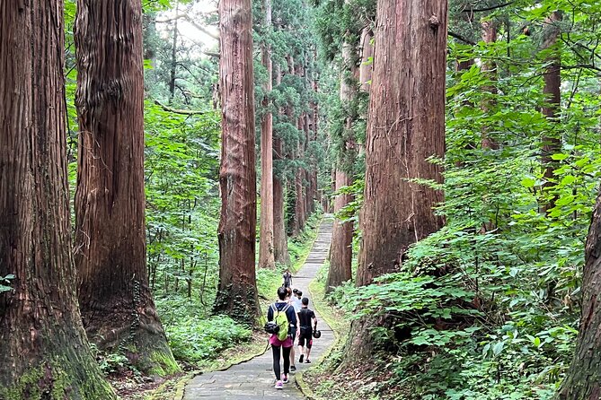 Mount Haguro E-Bike Sightseeing Tour in Yamagata, Japan