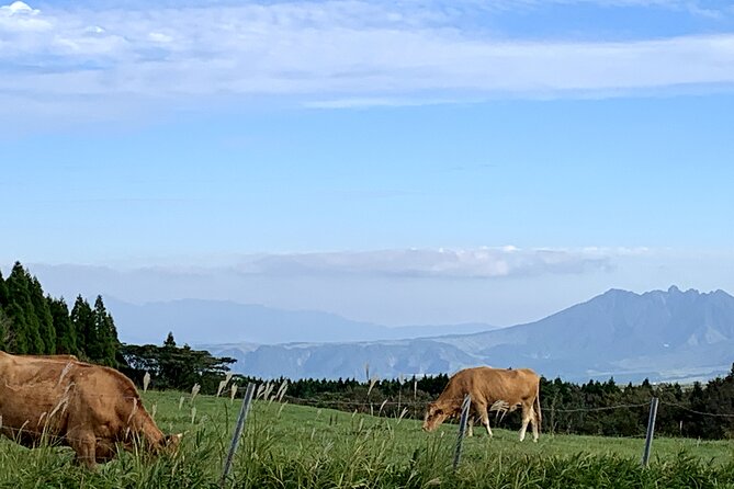 Mt. Aso and Kumamoto Castle Shared Bus Tour From Fukuoka