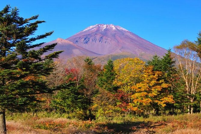 Mt. Fuji and Hakone 1-Day Bus Tour [Return W/ Shinkansen]