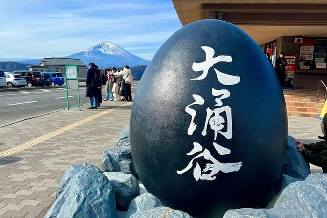 Mt. Fuji Hakone Ropeway and Oshino Hakkai Day Tour