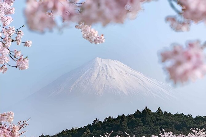 Mt Fuji Private Tour With English Speaking Driver