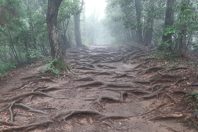 Mt. Takao With Hot Spring Private Tour