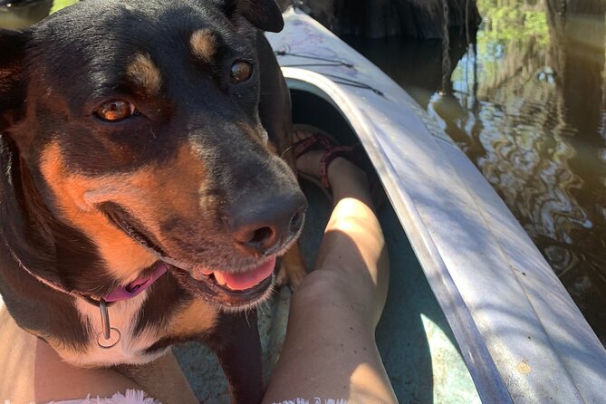 Mystical Private Kayak and Canoe Tours on Caddo Lake