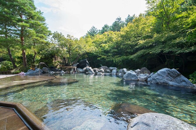 Nagashima Mitsui Park and Nagashima Hot Spring One Day Tour