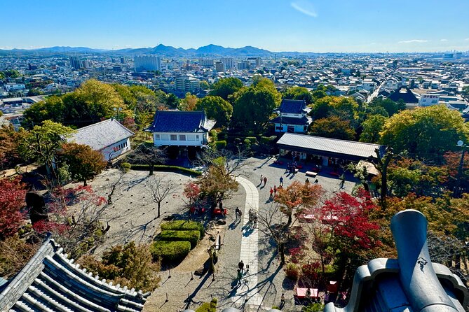 Nagoya: National Treasure Inuyama Castle & Tea Room Private Tour - Highlights of the Tour