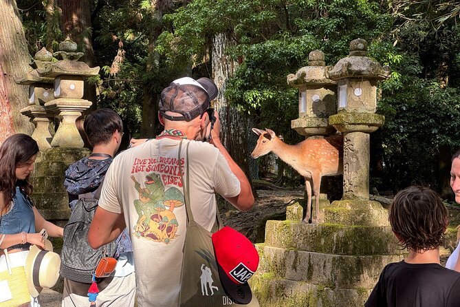 Nara: Half-Day Private Tour of 4 Must-See Spots & Deer Park - Inclusions