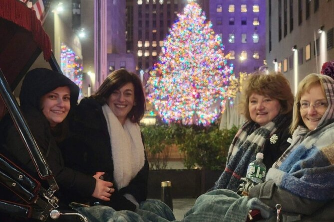 New York City Christmas Lights Private Horse Carriage Ride