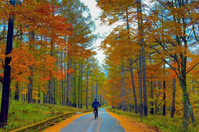 Nikko Cycling Tour With Local Guide - Exploring Nikkos Historic Landmarks