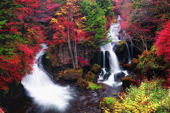 Nikko Toshogu Shrine Day Trip With English Professional Guide
