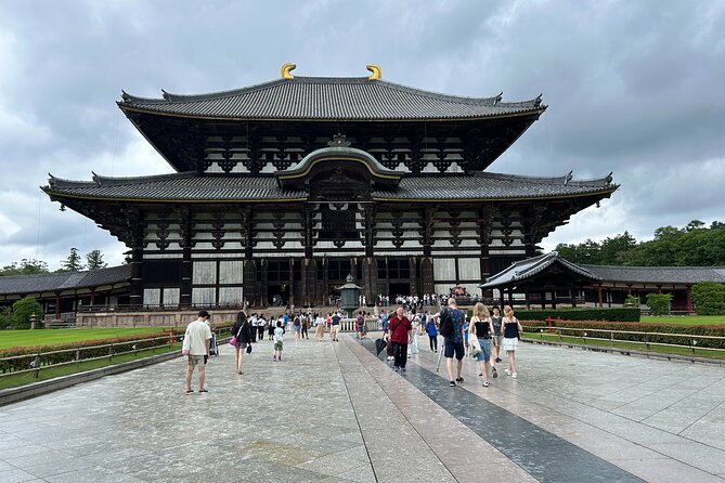 No Emission Car Nara Private Tour From Kyoto With Japanese Guide