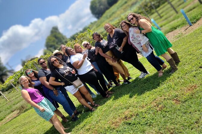 North Georgia Mountains Three Vineyard Wine Tasting Tour