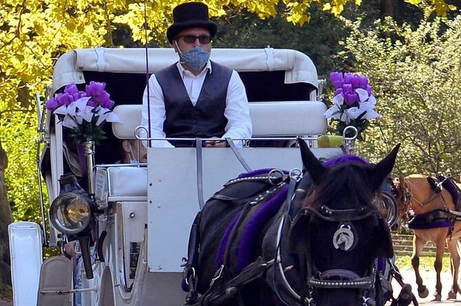 NYC Central Park VIP Horse and Carriage Ride