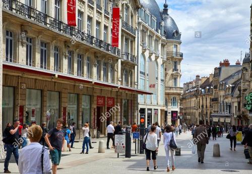 Nyx Exceptional Suite - Property Overview